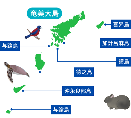 奄美群島の地図