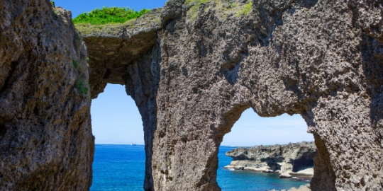 犬の門蓋（イメージ）