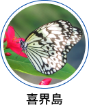 喜界島