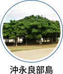 沖永良部島